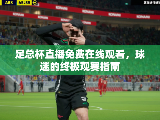 足总杯直播免费在线观看，球迷的终极观赛指南
