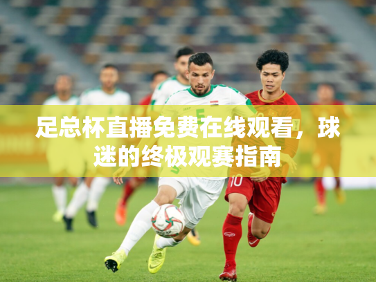 足总杯直播免费在线观看，球迷的终极观赛指南