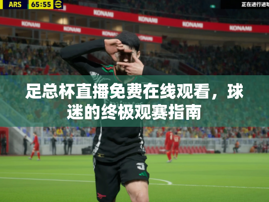 足总杯直播免费在线观看，球迷的终极观赛指南