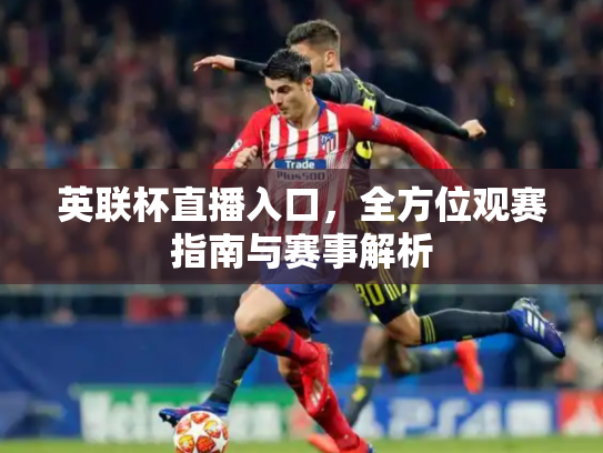 英联杯直播入口，全方位观赛指南与赛事解析