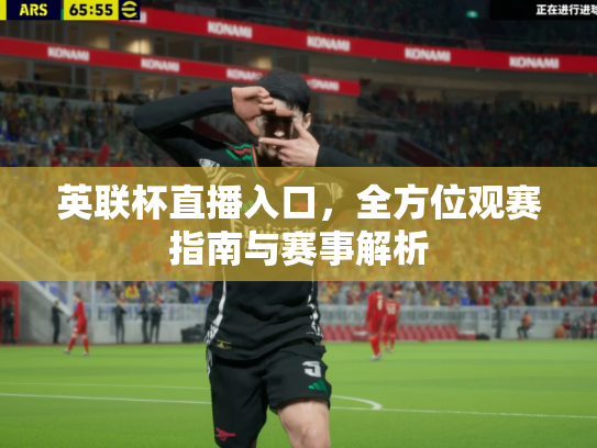 英联杯直播入口，全方位观赛指南与赛事解析