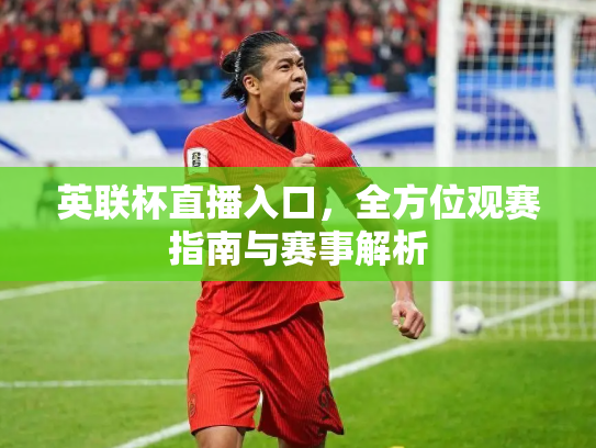 英联杯直播入口，全方位观赛指南与赛事解析
