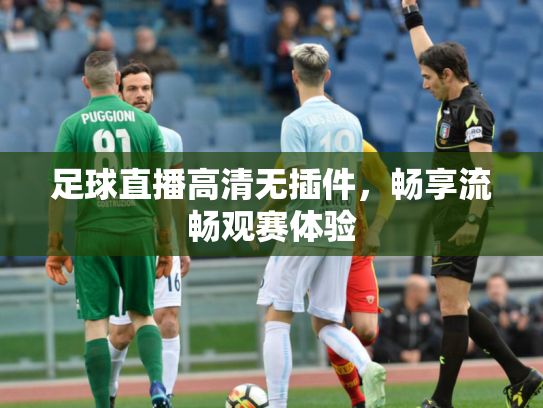 足球直播高清无插件，畅享流畅观赛体验