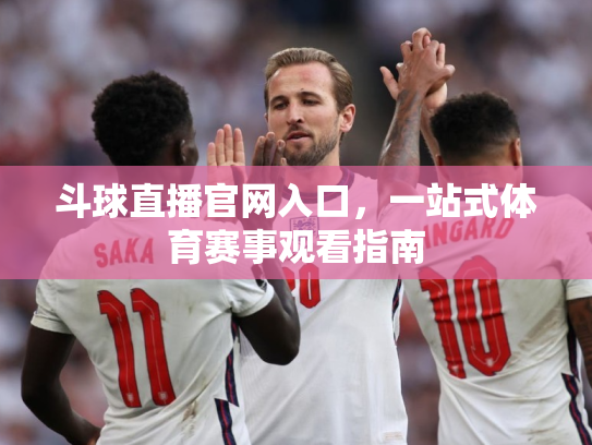 斗球直播官网入口，一站式体育赛事观看指南