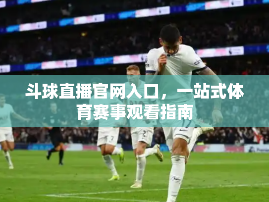 斗球直播官网入口，一站式体育赛事观看指南