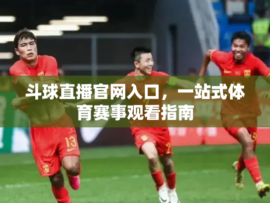 斗球直播官网入口，一站式体育赛事观看指南