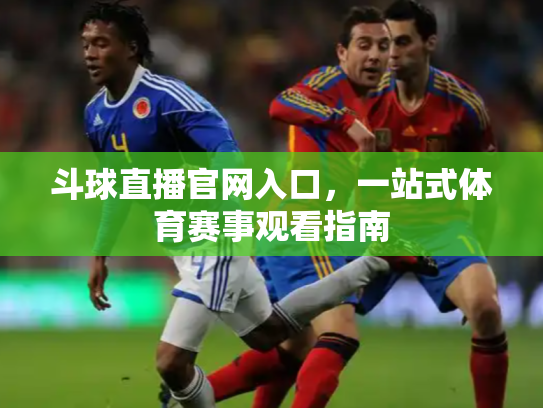 斗球直播官网入口，一站式体育赛事观看指南