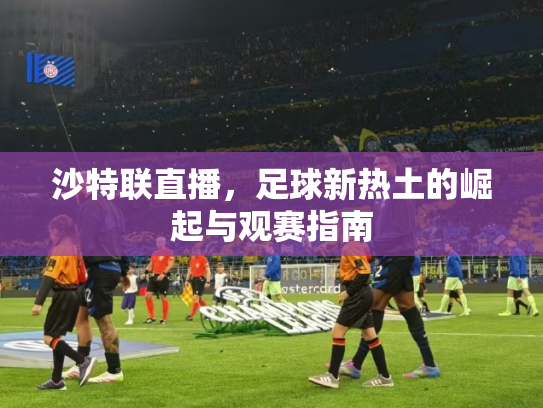 沙特联直播，足球新热土的崛起与观赛指南