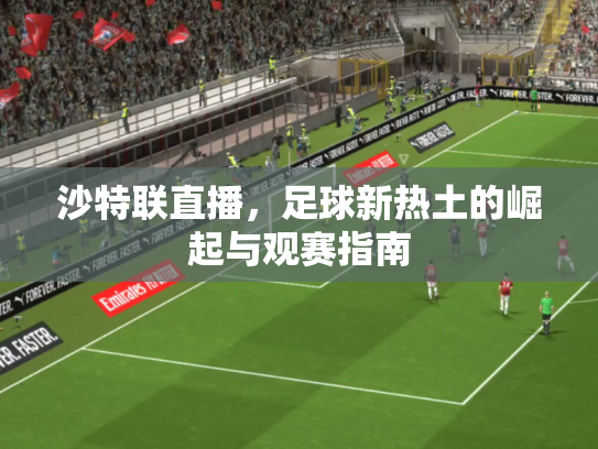 沙特联直播，足球新热土的崛起与观赛指南