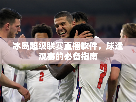冰岛超级联赛直播软件，球迷观赛的必备指南