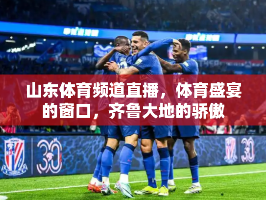 山东体育频道直播，体育盛宴的窗口，齐鲁大地的骄傲
