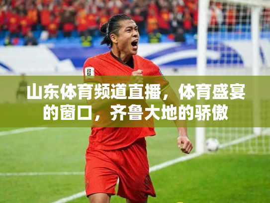 山东体育频道直播，体育盛宴的窗口，齐鲁大地的骄傲