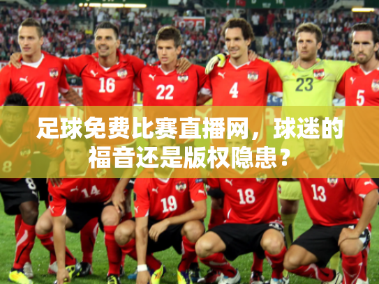 足球免费比赛直播网，球迷的福音还是版权隐患？