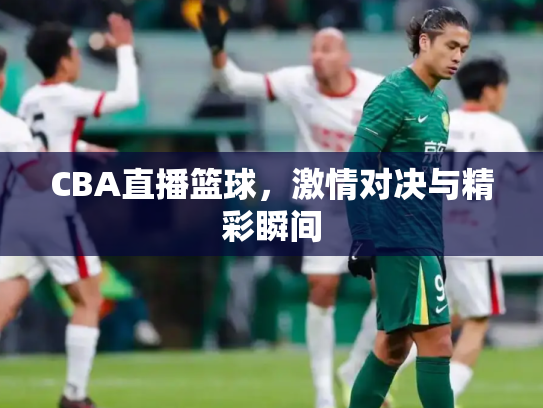 CBA直播篮球，激情对决与精彩瞬间