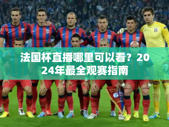 法国杯直播哪里可以看？2024年最全观赛指南