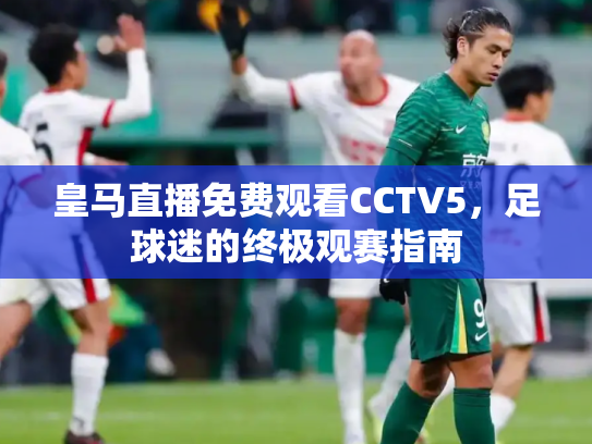 皇马直播免费观看CCTV5，足球迷的终极观赛指南
