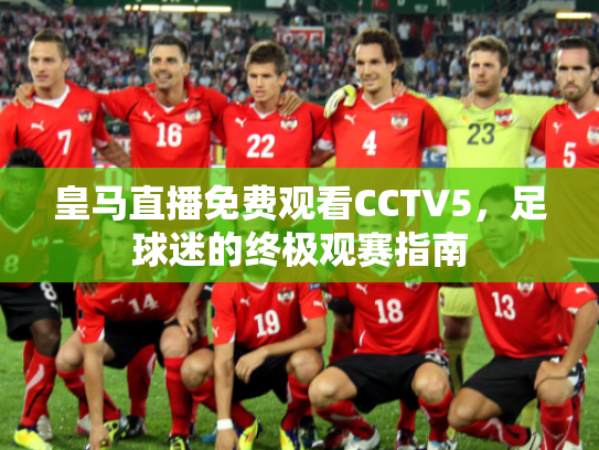 皇马直播免费观看CCTV5，足球迷的终极观赛指南