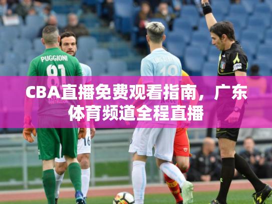 CBA直播免费观看指南，广东体育频道全程直播