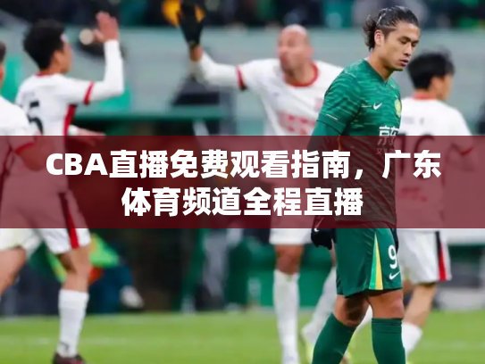 CBA直播免费观看指南，广东体育频道全程直播