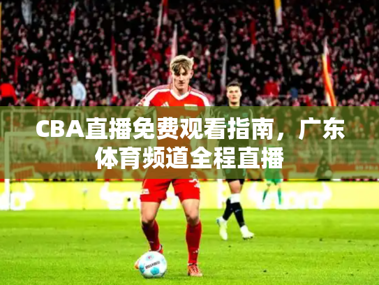 CBA直播免费观看指南，广东体育频道全程直播
