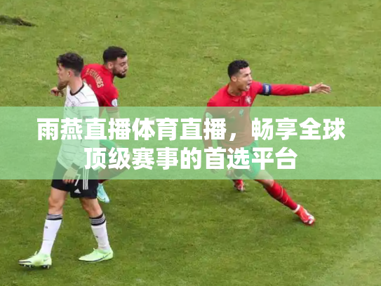 雨燕直播体育直播，畅享全球顶级赛事的首选平台
