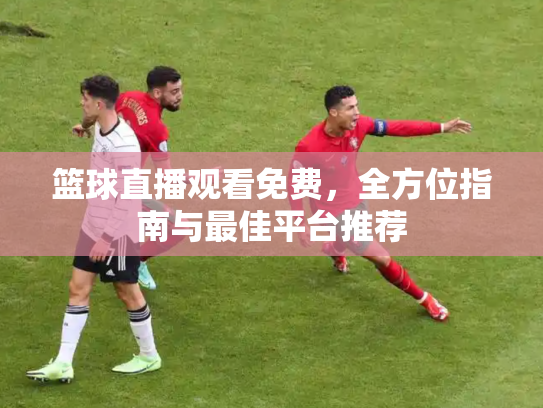 篮球直播观看免费，全方位指南与最佳平台推荐
