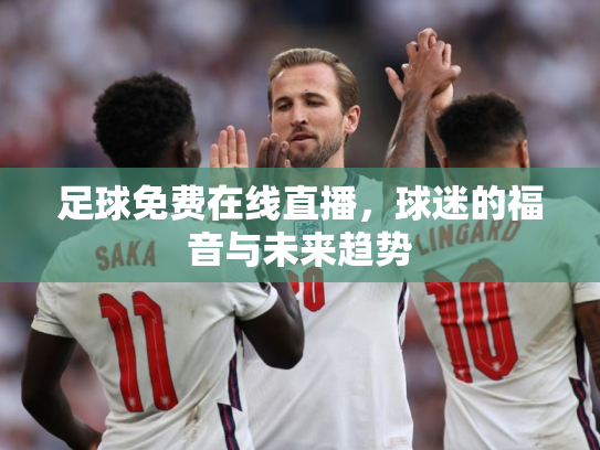 足球免费在线直播，球迷的福音与未来趋势
