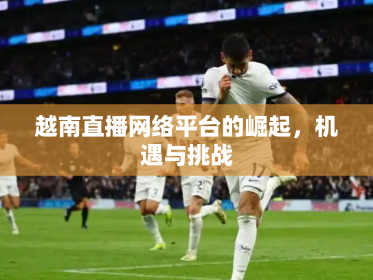 越南直播网络平台的崛起，机遇与挑战