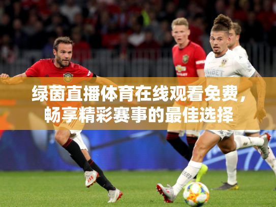 绿茵直播体育在线观看免费，畅享精彩赛事的最佳选择