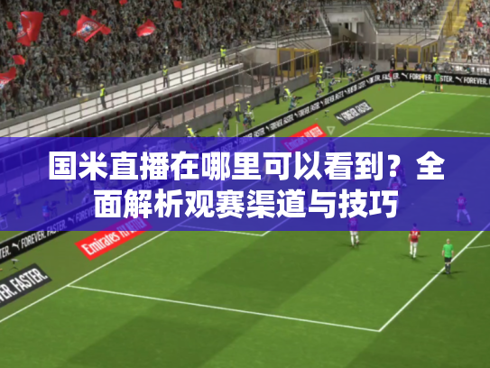 国米直播在哪里可以看到？全面解析观赛渠道与技巧