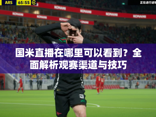 国米直播在哪里可以看到？全面解析观赛渠道与技巧