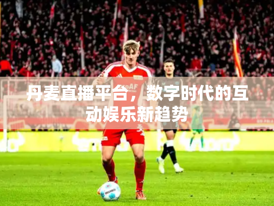 丹麦直播平台，数字时代的互动娱乐新趋势