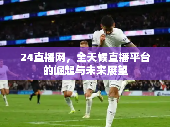 24直播网，全天候直播平台的崛起与未来展望