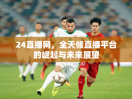 24直播网，全天候直播平台的崛起与未来展望