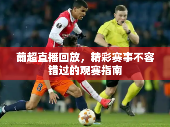 葡超直播回放，精彩赛事不容错过的观赛指南