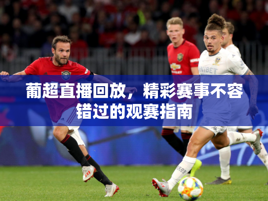 葡超直播回放，精彩赛事不容错过的观赛指南