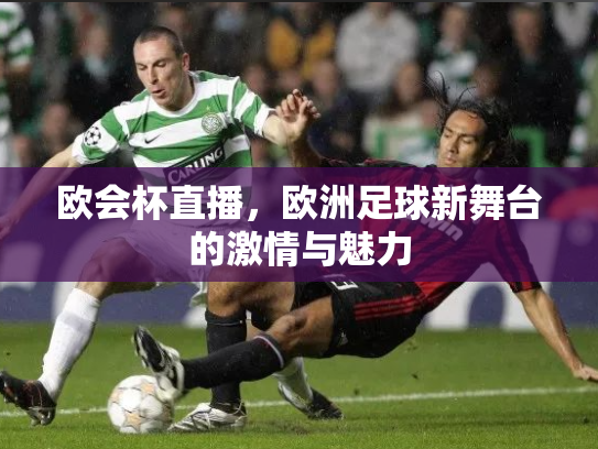 欧会杯直播，欧洲足球新舞台的激情与魅力