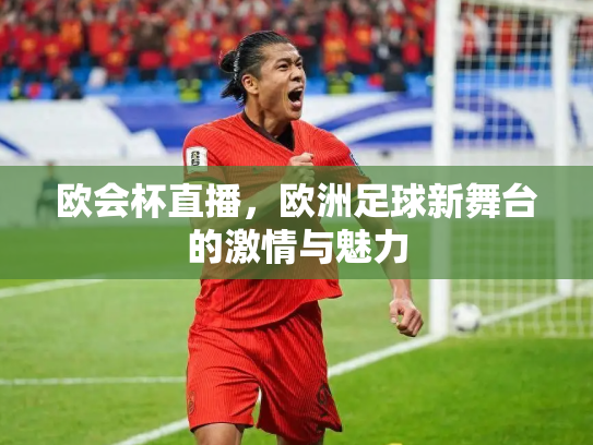 欧会杯直播，欧洲足球新舞台的激情与魅力