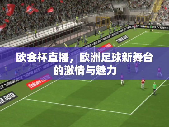 欧会杯直播，欧洲足球新舞台的激情与魅力