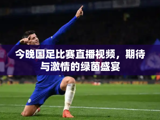 今晚国足比赛直播视频，期待与激情的绿茵盛宴
