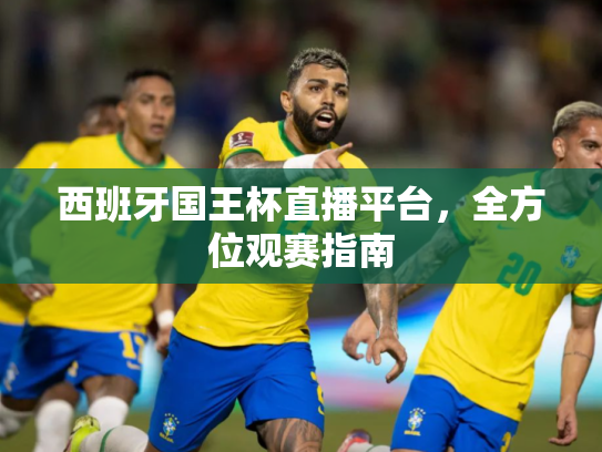 西班牙国王杯直播平台，全方位观赛指南