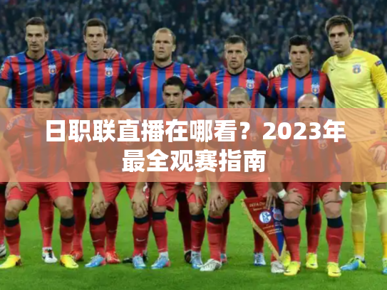日职联直播在哪看？2023年最全观赛指南