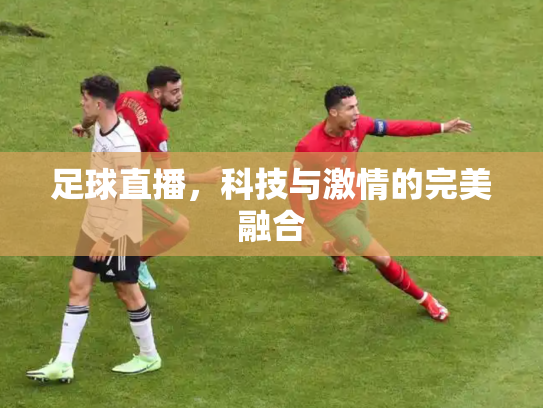足球直播，科技与激情的完美融合