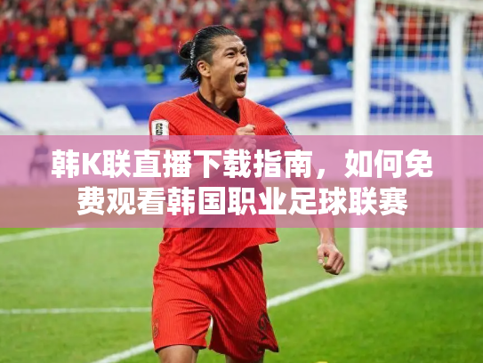韩K联直播下载指南，如何免费观看韩国职业足球联赛
