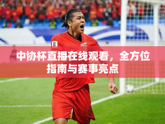 中协杯直播在线观看，全方位指南与赛事亮点