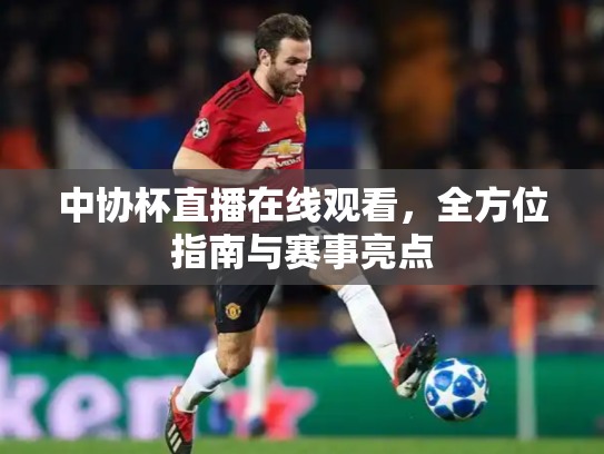 中协杯直播在线观看，全方位指南与赛事亮点