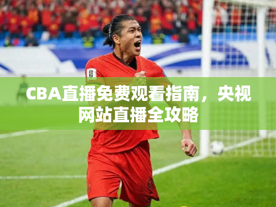 CBA直播免费观看指南，央视网站直播全攻略