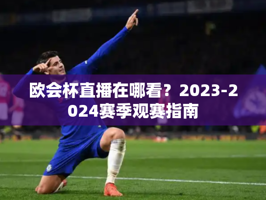 欧会杯直播在哪看？2023-2024赛季观赛指南