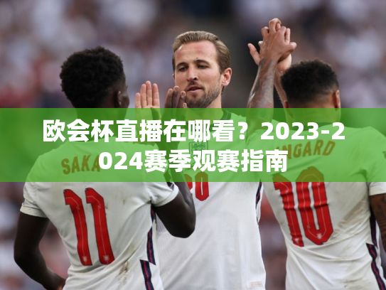 欧会杯直播在哪看？2023-2024赛季观赛指南