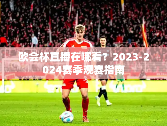 欧会杯直播在哪看？2023-2024赛季观赛指南